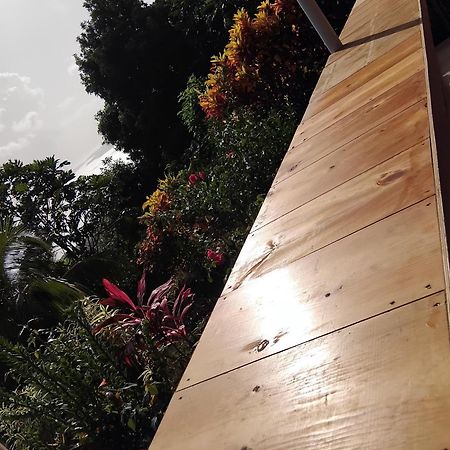 "Sunrise Inn" Nature Island Dominica Penville Kültér fotó
