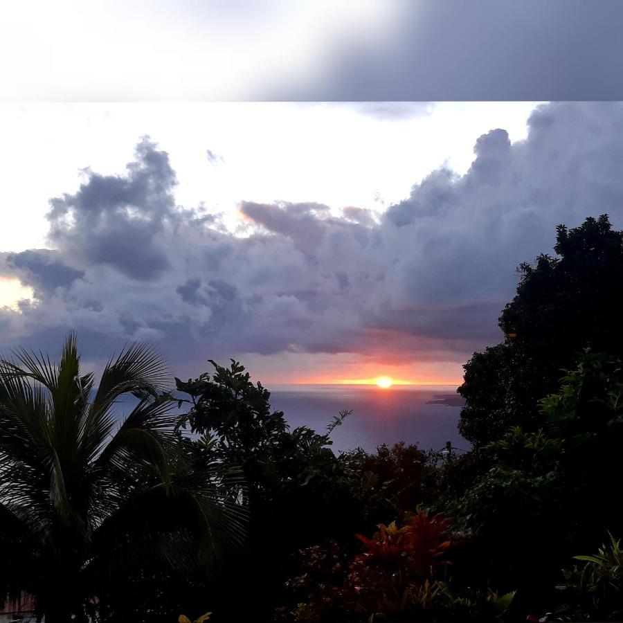 "Sunrise Inn" Nature Island Dominica Penville Kültér fotó