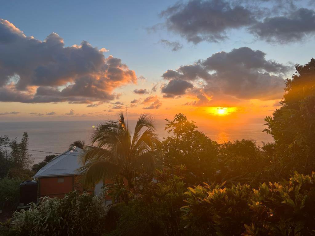 "Sunrise Inn" Nature Island Dominica Penville Kültér fotó