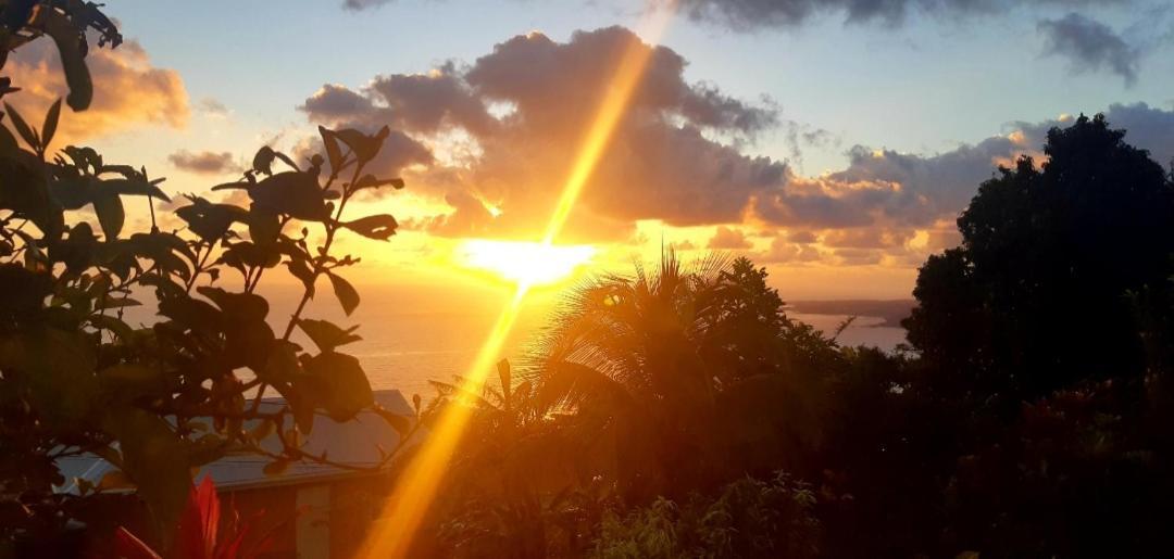 "Sunrise Inn" Nature Island Dominica Penville Kültér fotó