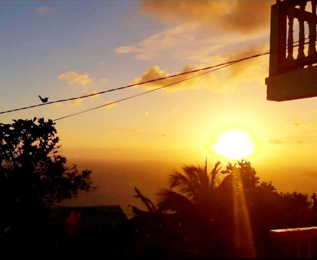 "Sunrise Inn" Nature Island Dominica Penville Kültér fotó